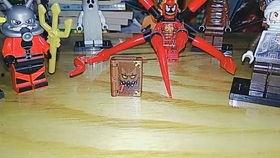 国产人仔组合视频