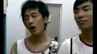 国产男同志的视频,展现多元情感与生活百态